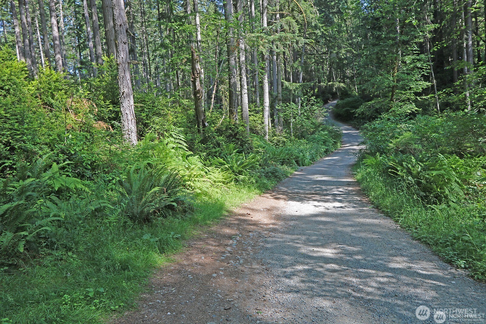20825 Old Mill Road Southwest Vashon, WA 98070 - Photo 4 of 12