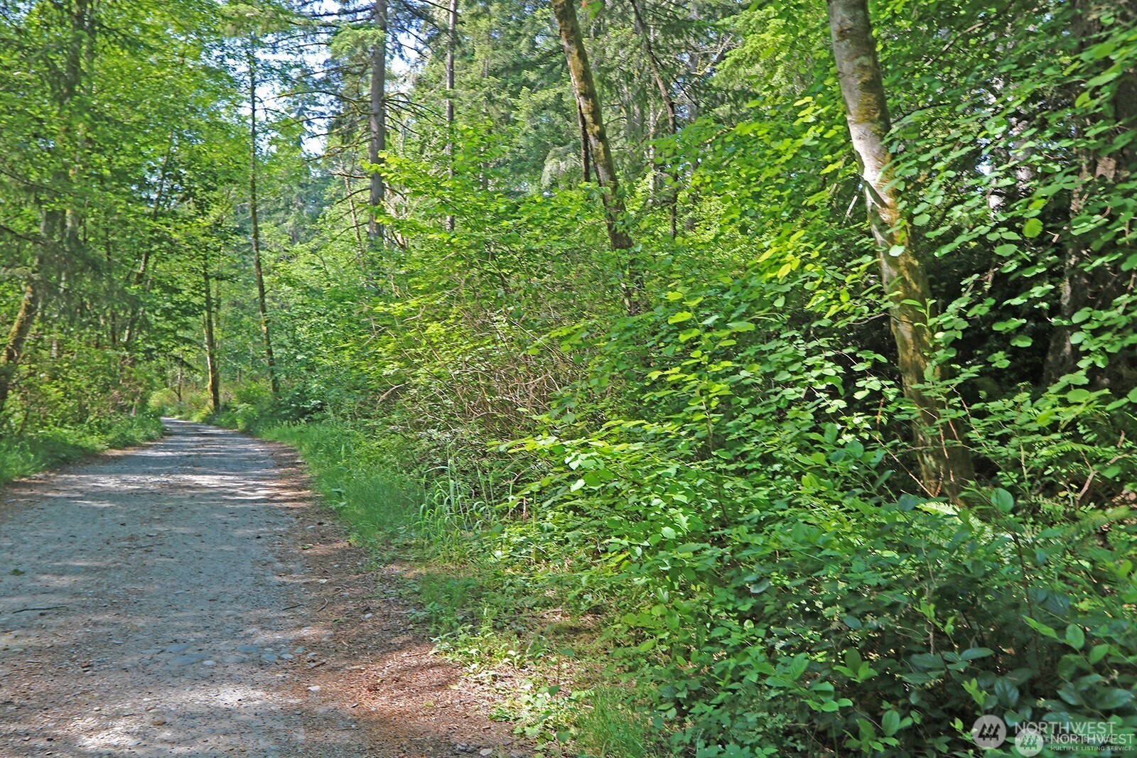 20825 Old Mill Road Southwest Vashon, WA 98070 - Photo 6 of 12