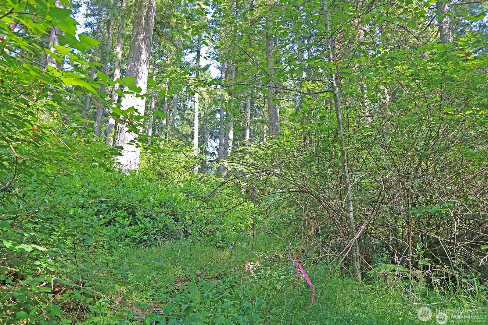20825 Old Mill Road Southwest Vashon, WA 98070 - Photo 7 of 12