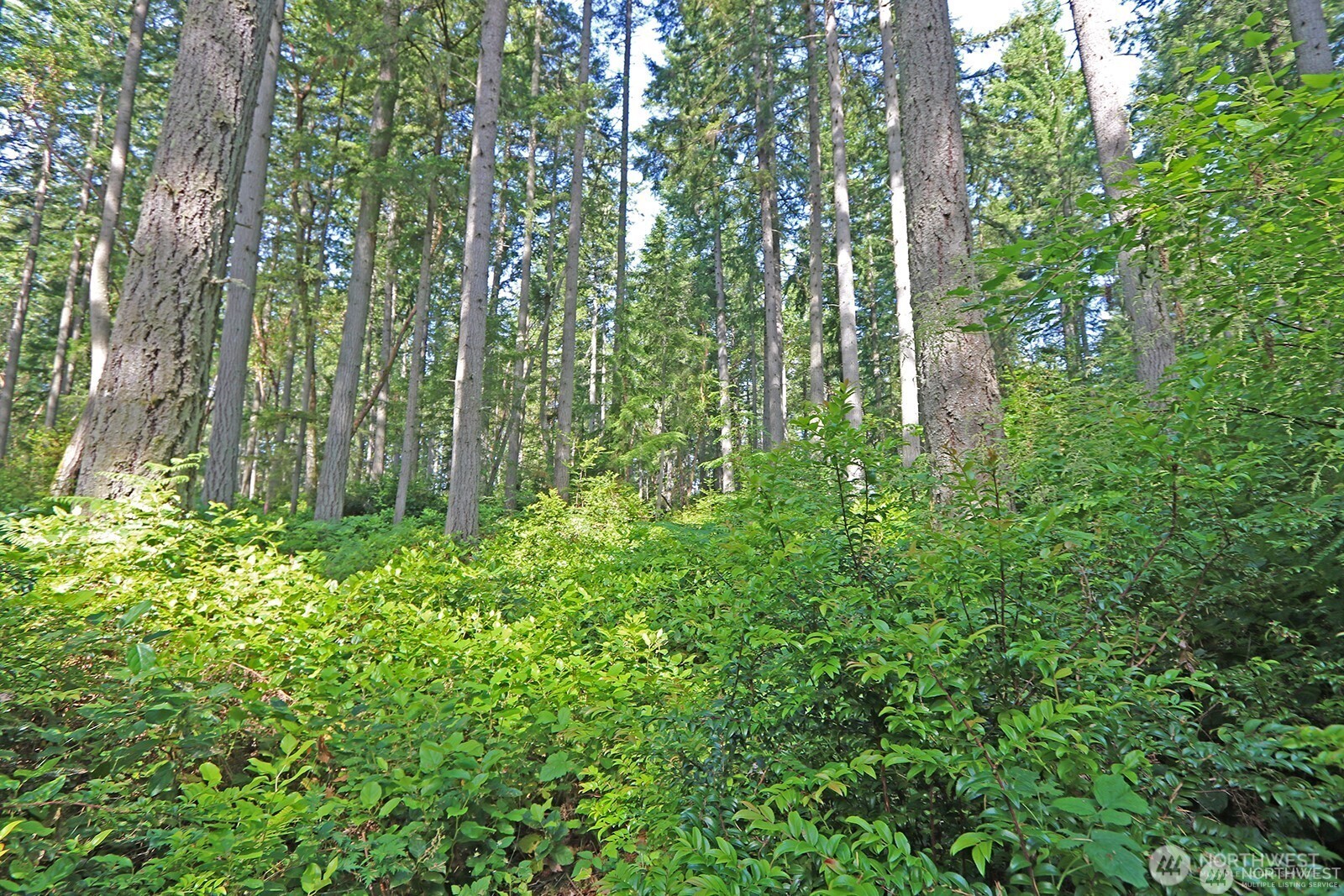 20825 Old Mill Road Southwest Vashon, WA 98070 - Photo 8 of 12