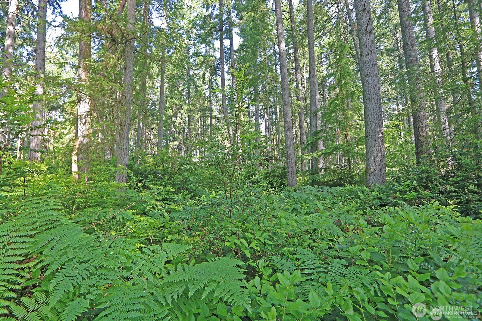 20825 Old Mill Road Southwest Vashon, WA 98070 - Photo 9 of 12