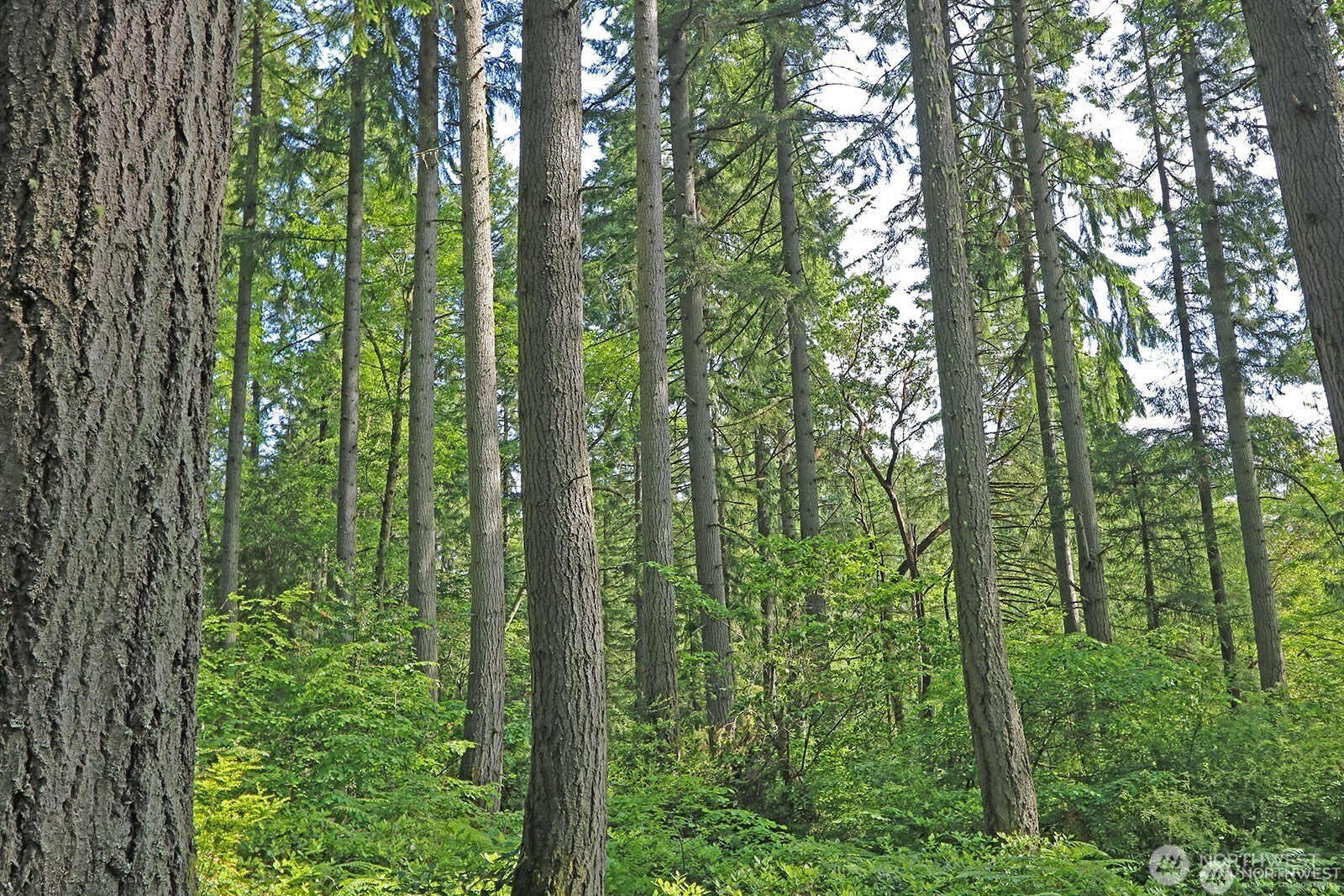 20825 Old Mill Road Southwest Vashon, WA 98070 - Photo 10 of 12