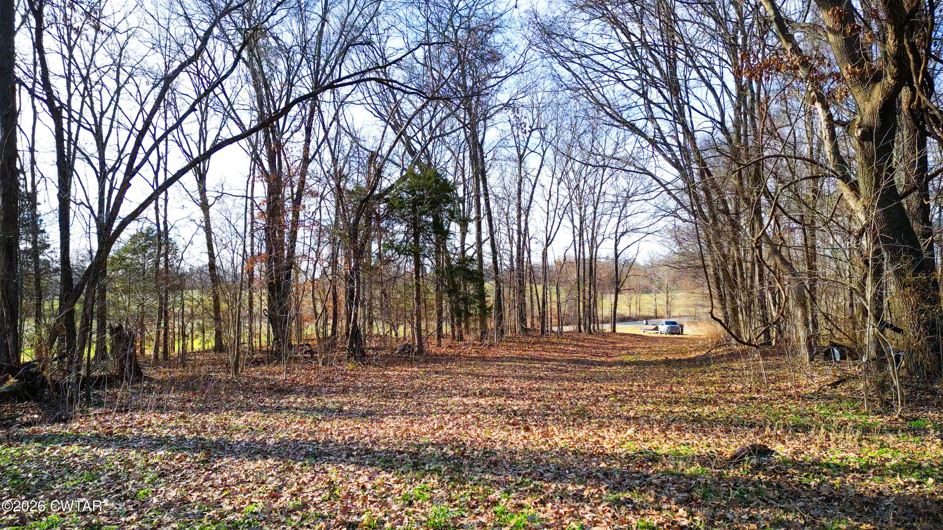 a view of outdoor space with tree s