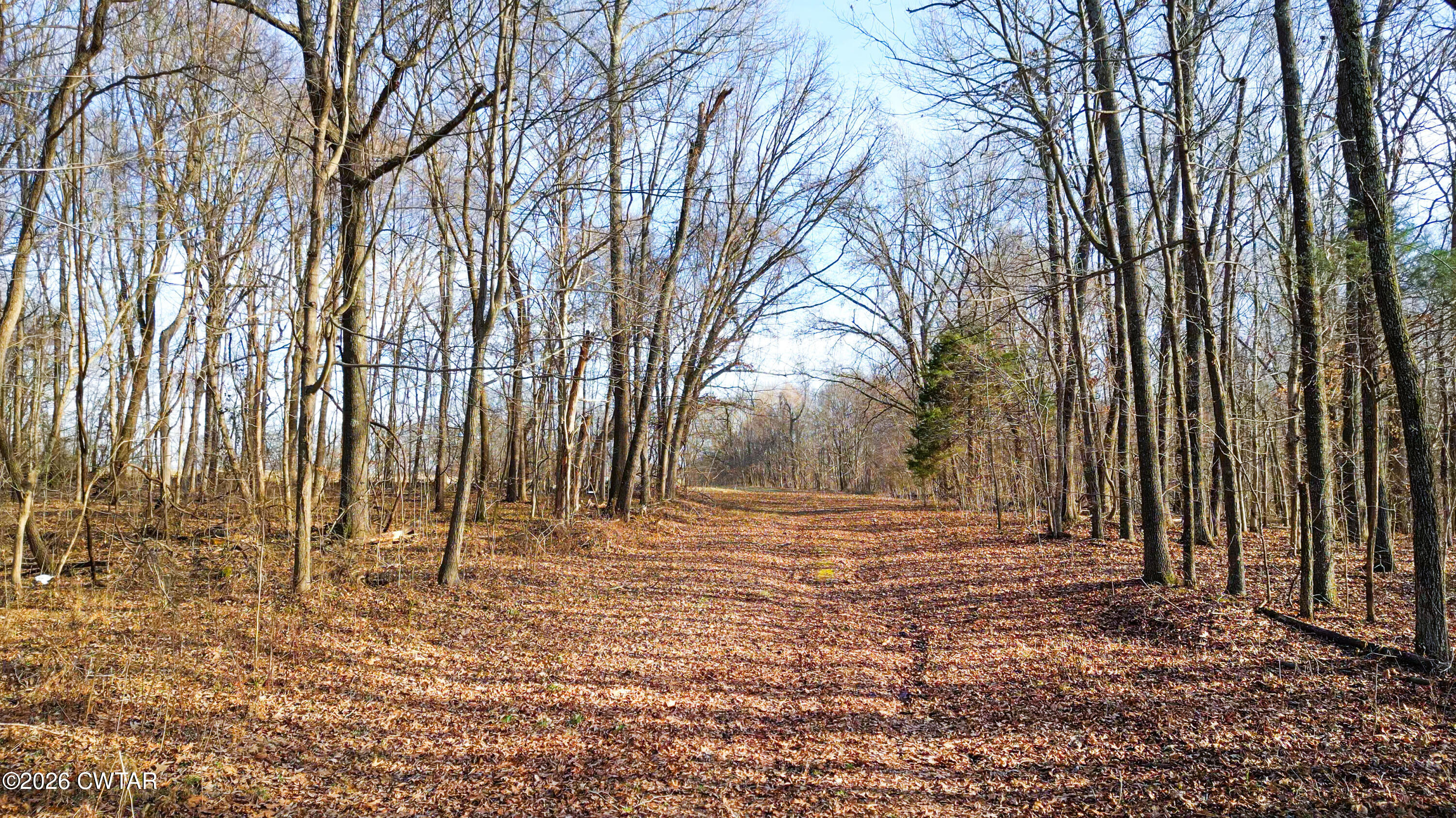 43 Esquire Hunt Road Humboldt, TN 38343 - Photo 3 of 17 a view of outdoor space with trees