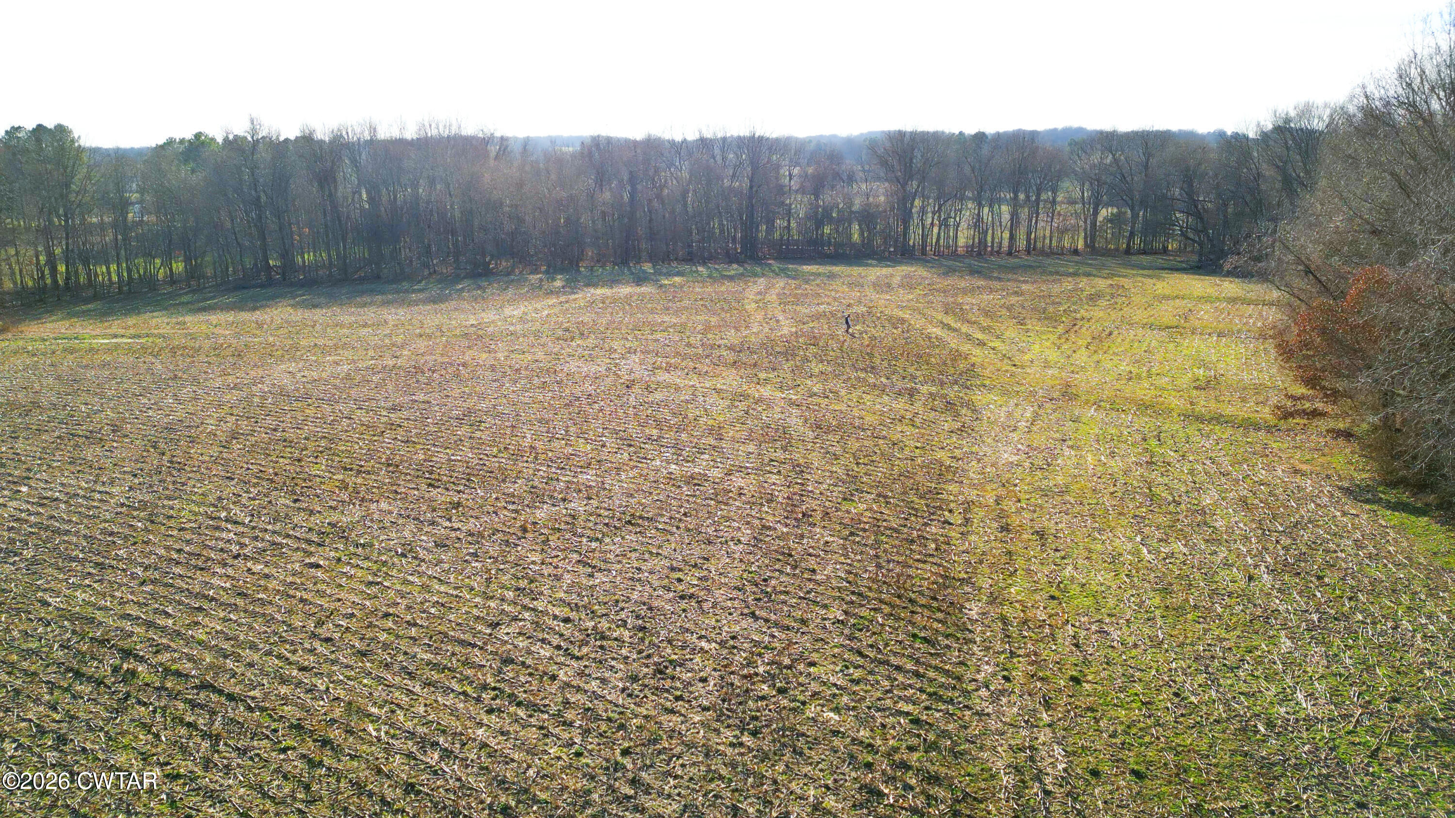 43 Esquire Hunt Road Humboldt, TN 38343 - Photo 4 of 17 a view of a backyard