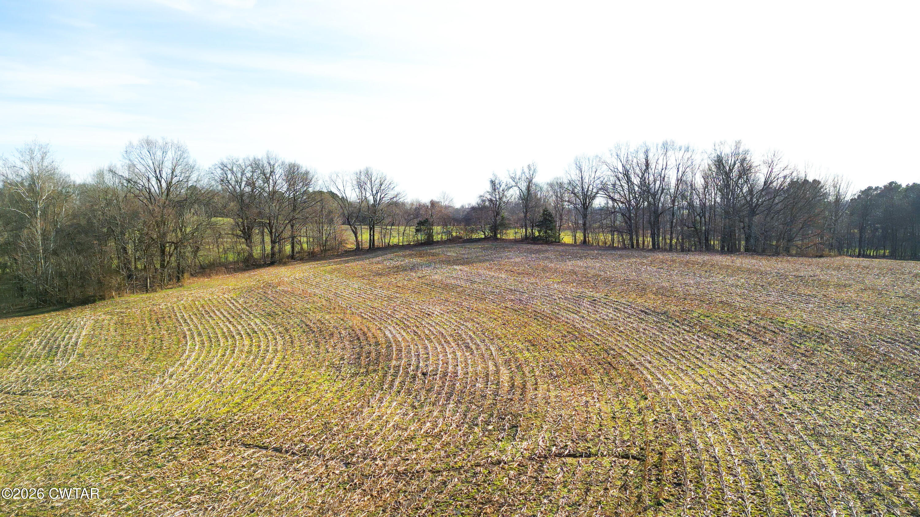 43 Esquire Hunt Road Humboldt, TN 38343 - Photo 5 of 17 a view of empty field with trees in background