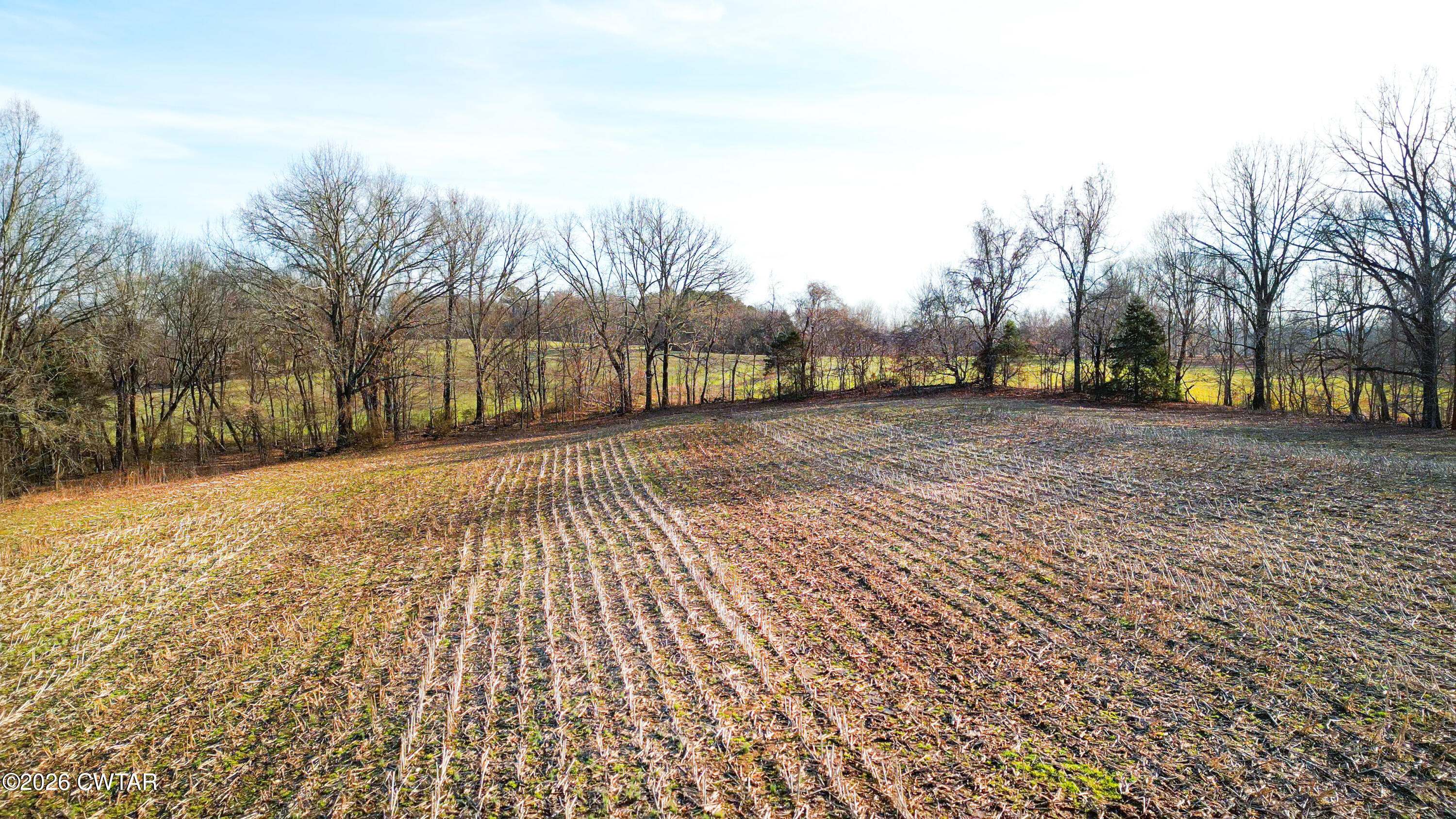43 Esquire Hunt Road Humboldt, TN 38343 - Photo 10 of 17 a view of a yard with trees