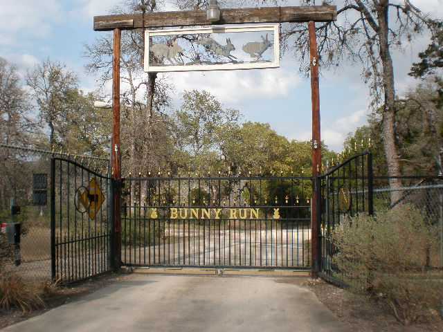 a view of a balcony with a pot