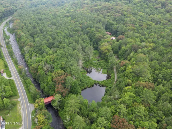 a view of a space with a garden and plants