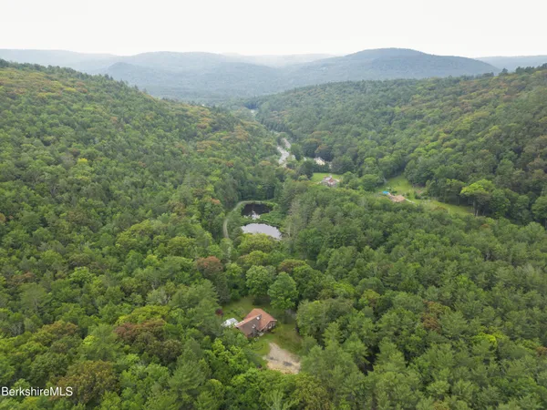 a view of a lush green forest with a mountain
