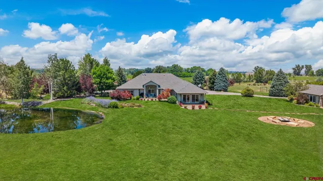 a view of a garden in front of a house