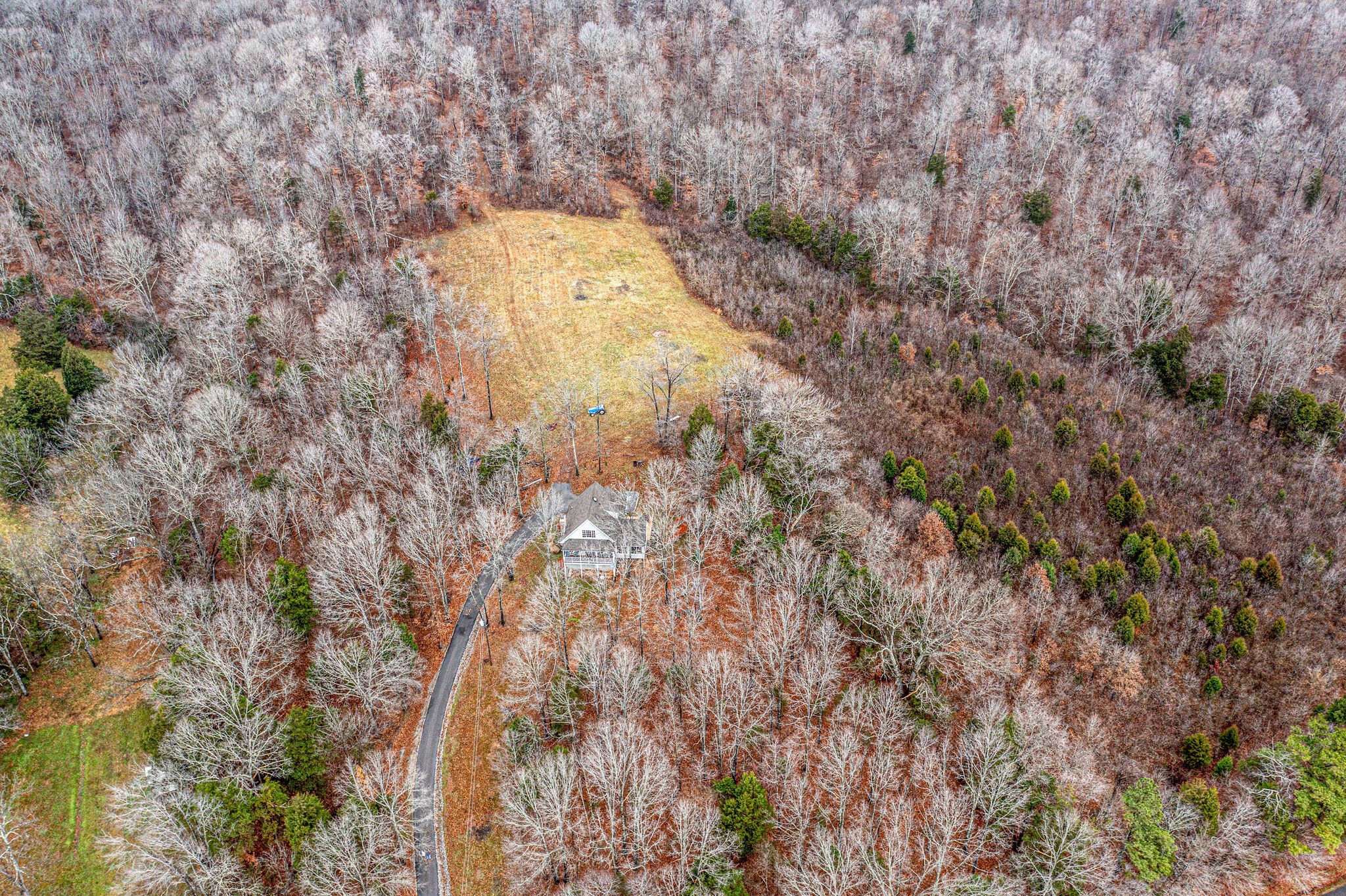732 Salmon Branch Road Erin, TN 37061 - Photo 12 of 39 Gallery Image 12