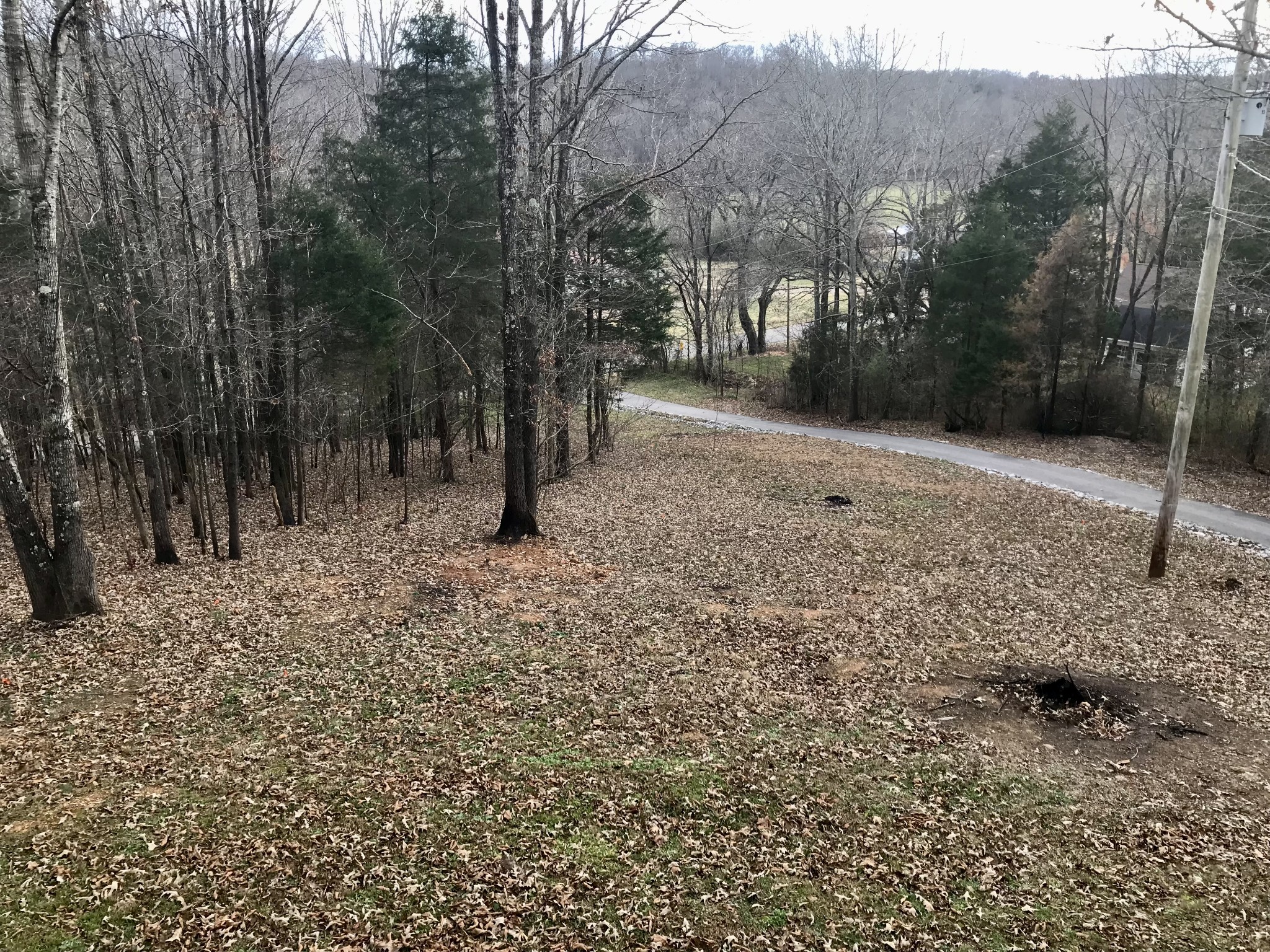 732 Salmon Branch Road Erin, TN 37061 - Photo 4 of 39 Gallery Image 4