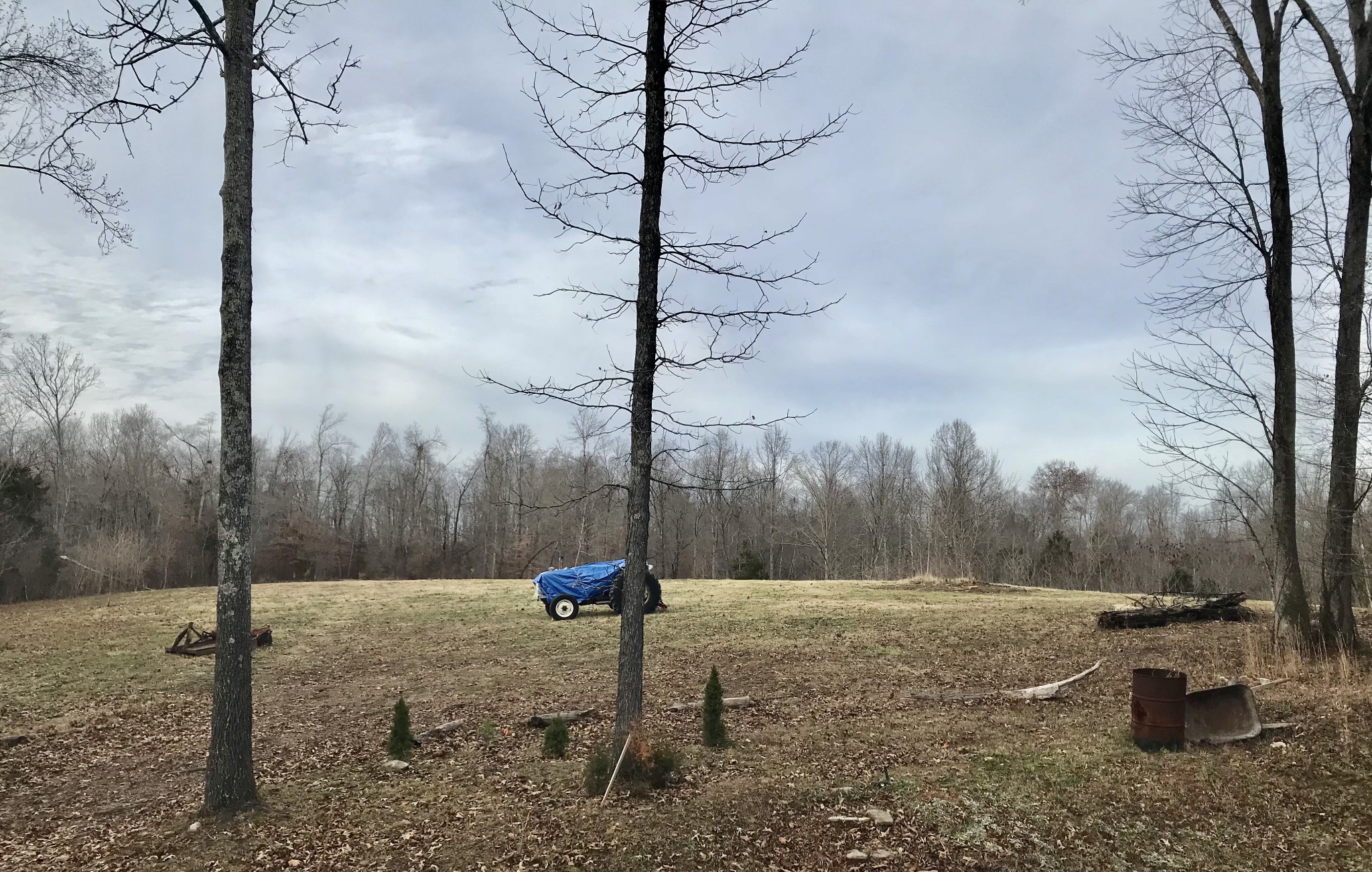 732 Salmon Branch Road Erin, TN 37061 - Photo 6 of 39 Gallery Image 6
