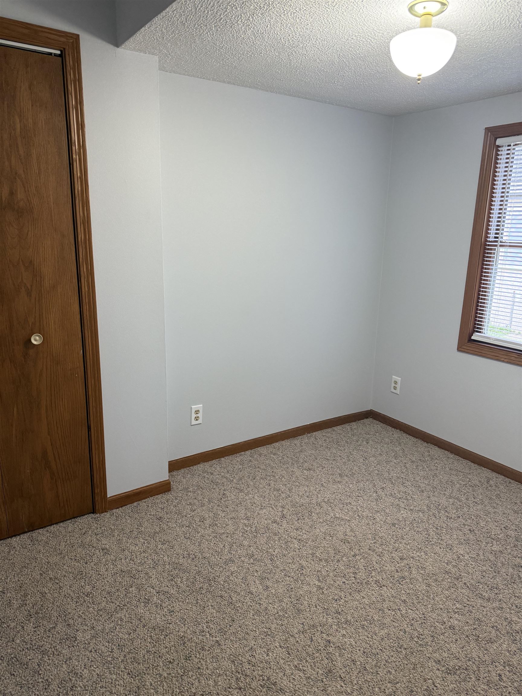 311 East Front Street Byron, IL 61010 - Photo 4 of 15 an empty room with windows