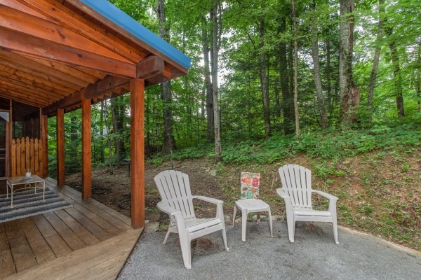 2164 Red Bud Road Sevierville, TN 37876 - Photo 14 of 23 Gallery Image 14