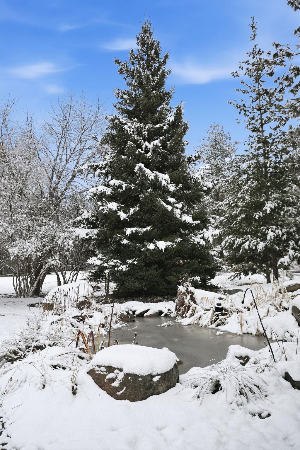 3810 East Evan Lane Colbert, WA 99005 - Photo 46 of 49