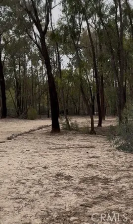 a view of outdoor space with trees