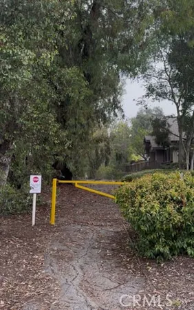 a view of a park with large trees