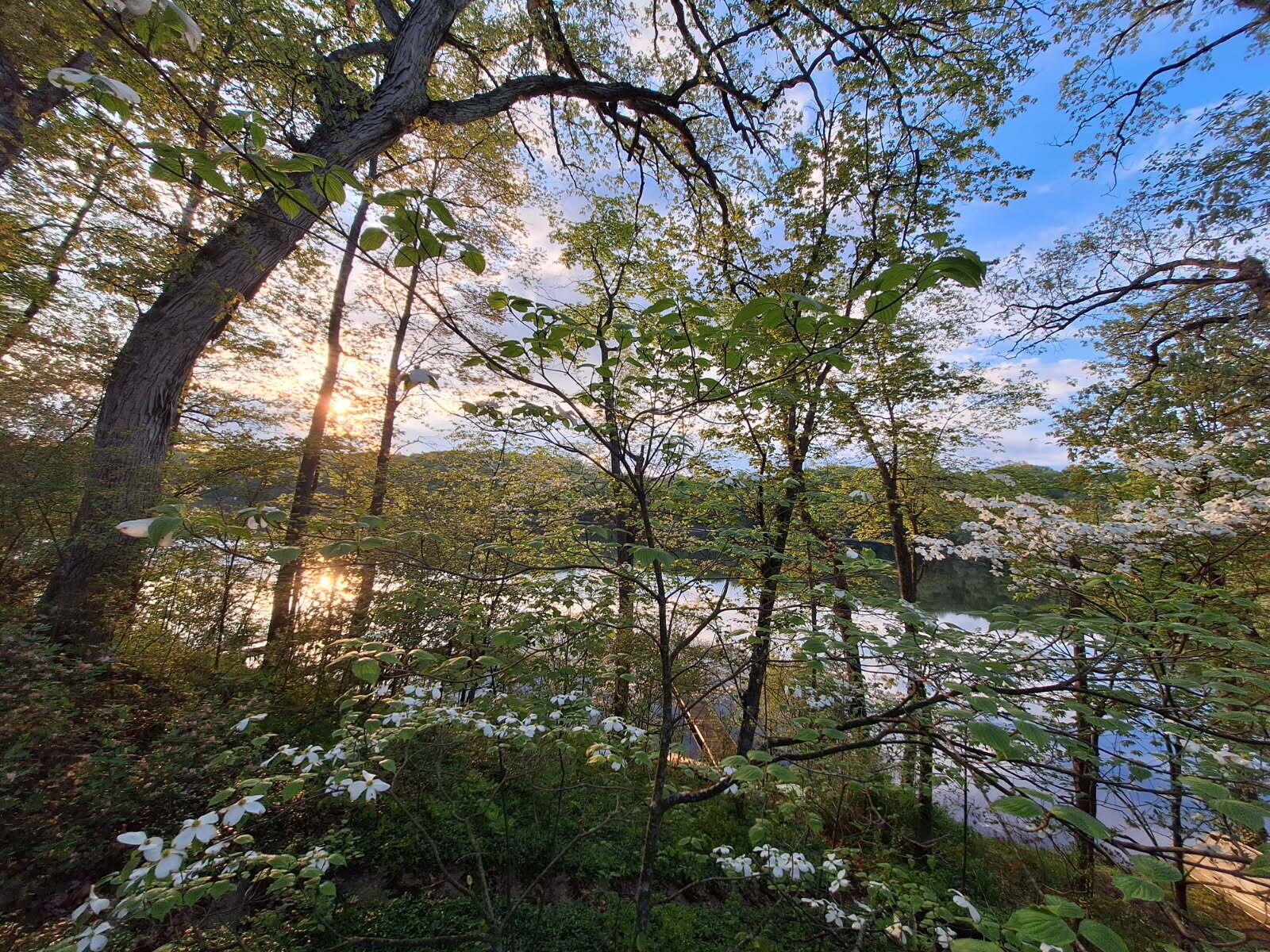 5980 McKibben Road Delton, MI 49046 - Photo 22 of 23 Stewart Lk Sunset