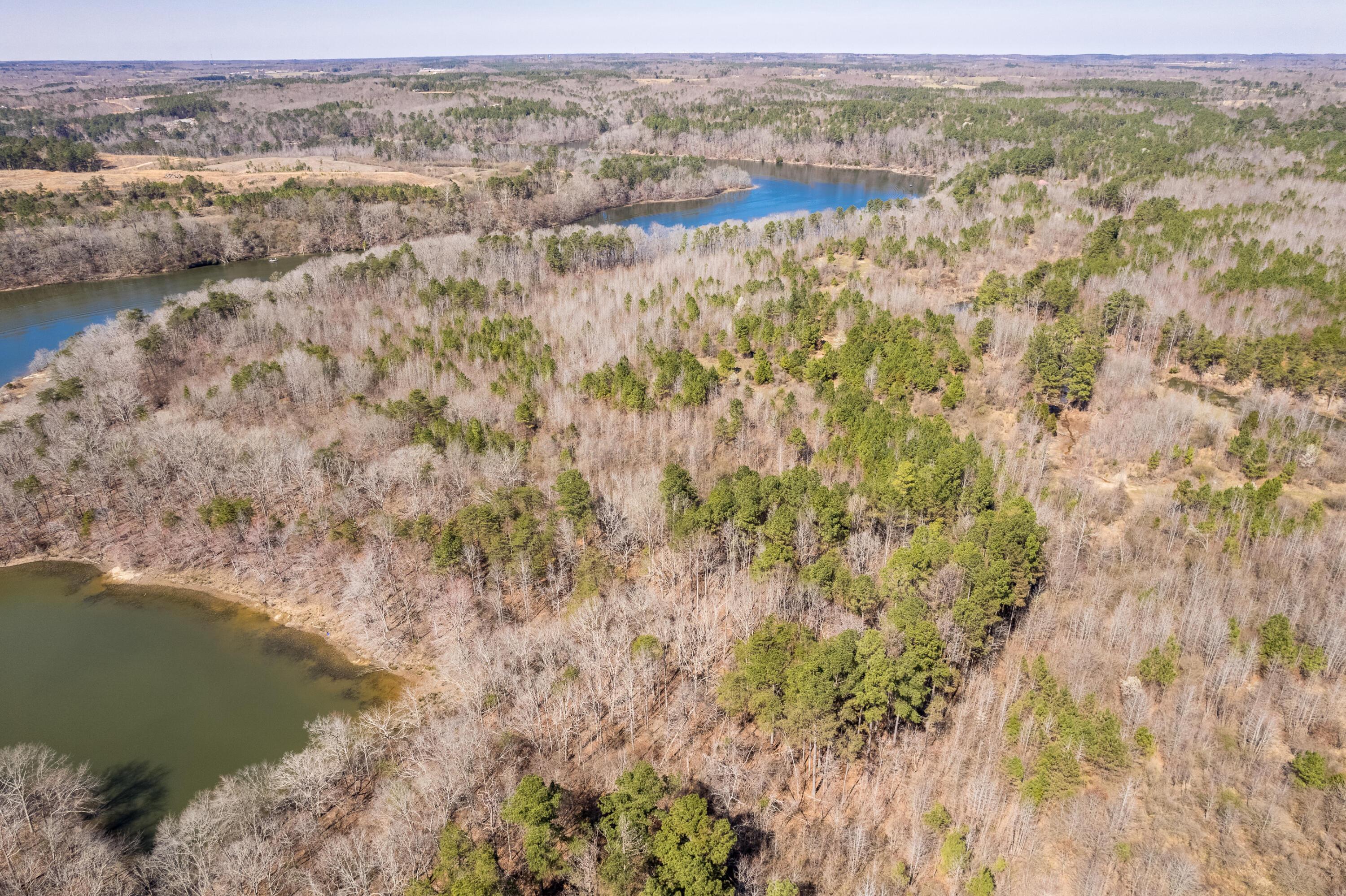 0 Dime Road Phil Campbell, AL 35581 - Photo 12 of 18 Aerial
