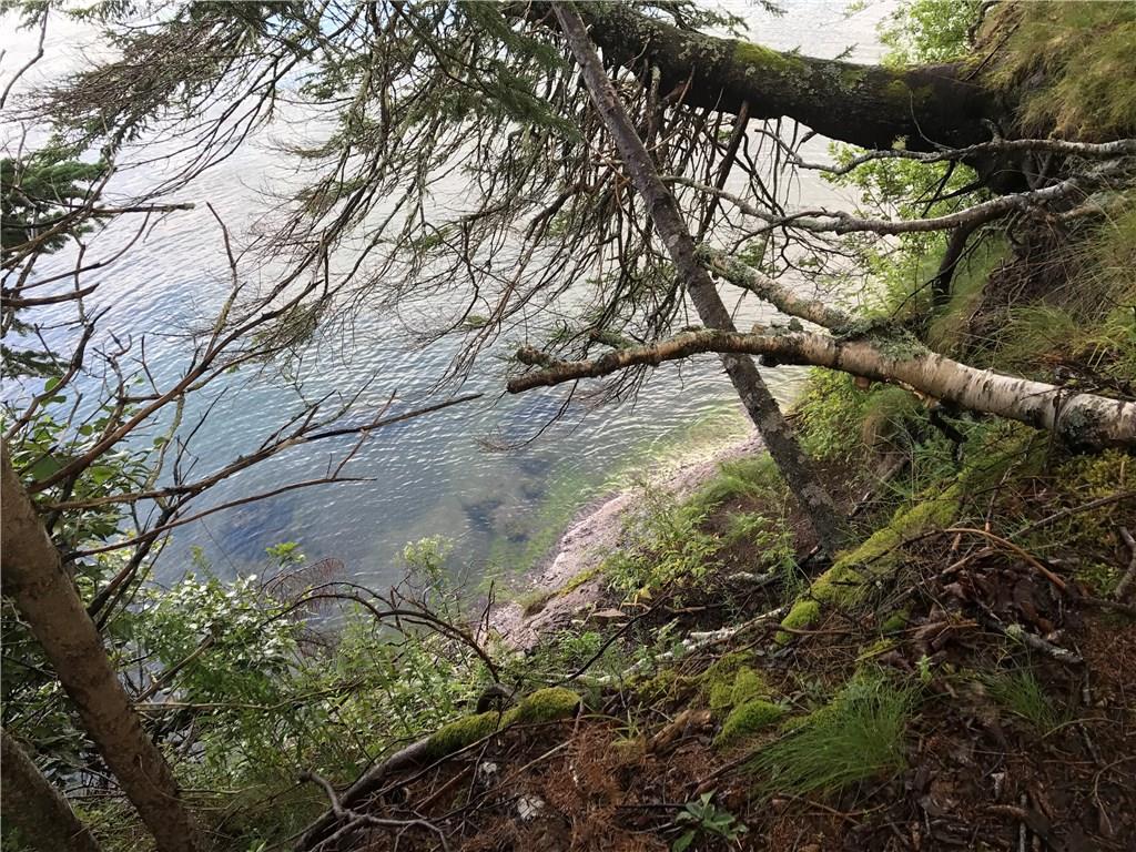 Xx Shore Road Perry, ME 04667 - Photo 21 of 77 High and steep vantage point for...