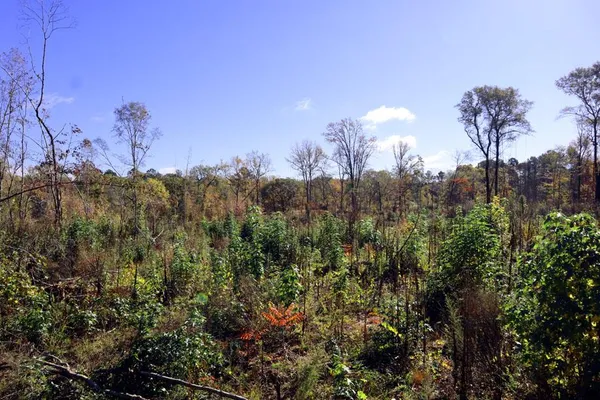 $259,000 | 2432 Hunts Chapel Road, Sparta, GA 31087