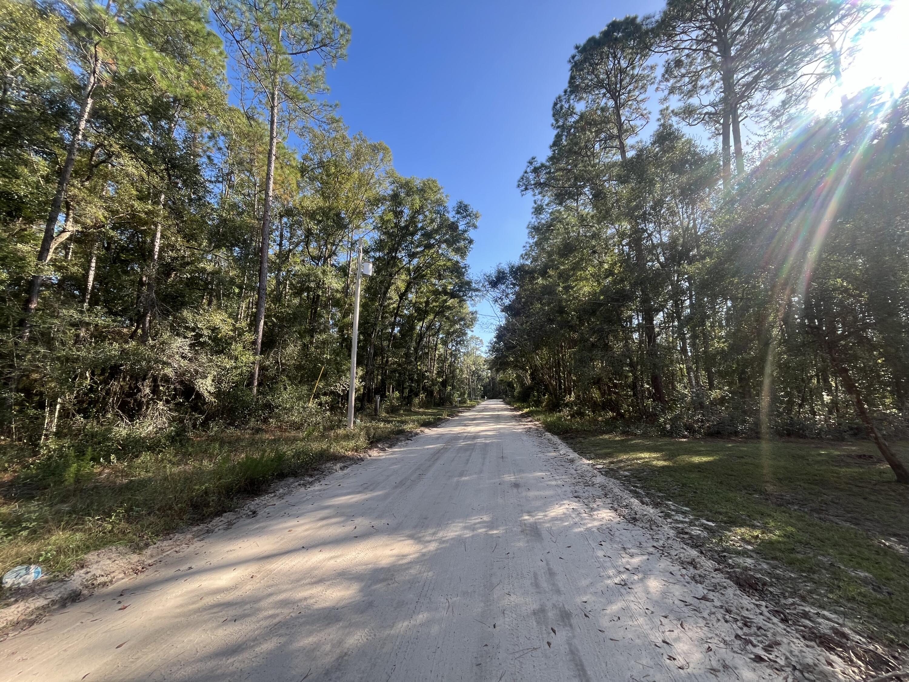 Tbd Rutland Road Crawfordville, FL 32327 - Photo 2 of 8 IMG_4803