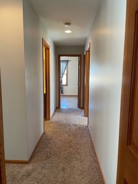 2091 Locust Road Morris, IL 60450 - Photo 13 of 31