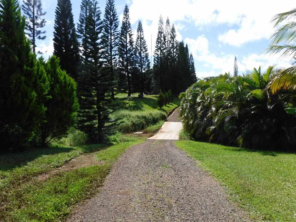 1209 West Kuiaha Road, Unit 2 Haiku, HI 96708 - Photo 27 of 30 a view of a yard with plants and trees