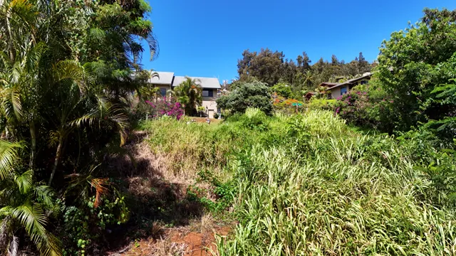 a view of a house with a tree in the background