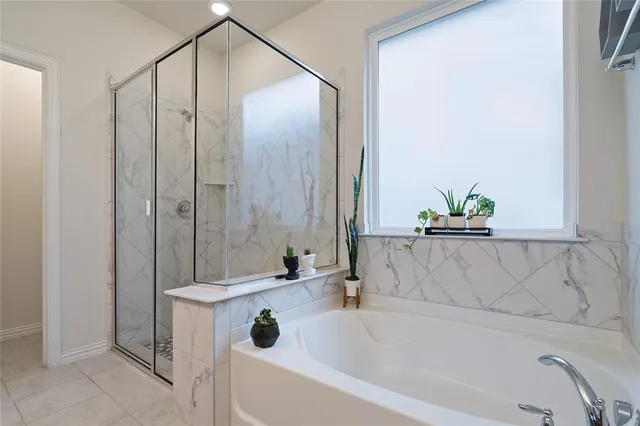 a bathroom with a bathtub and a shower