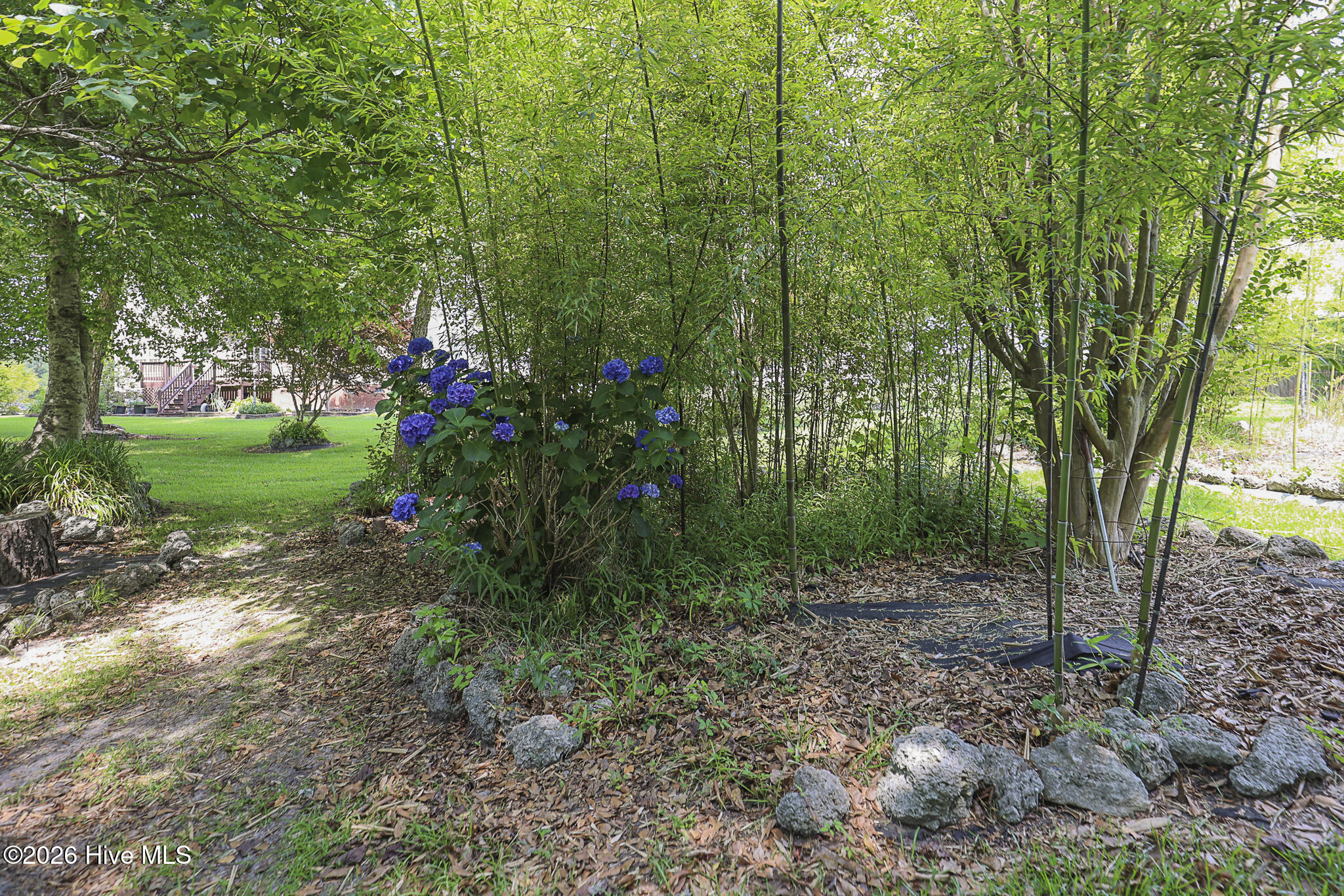 217 Rutherford Way Jacksonville, NC 28540 - Photo 65 of 96