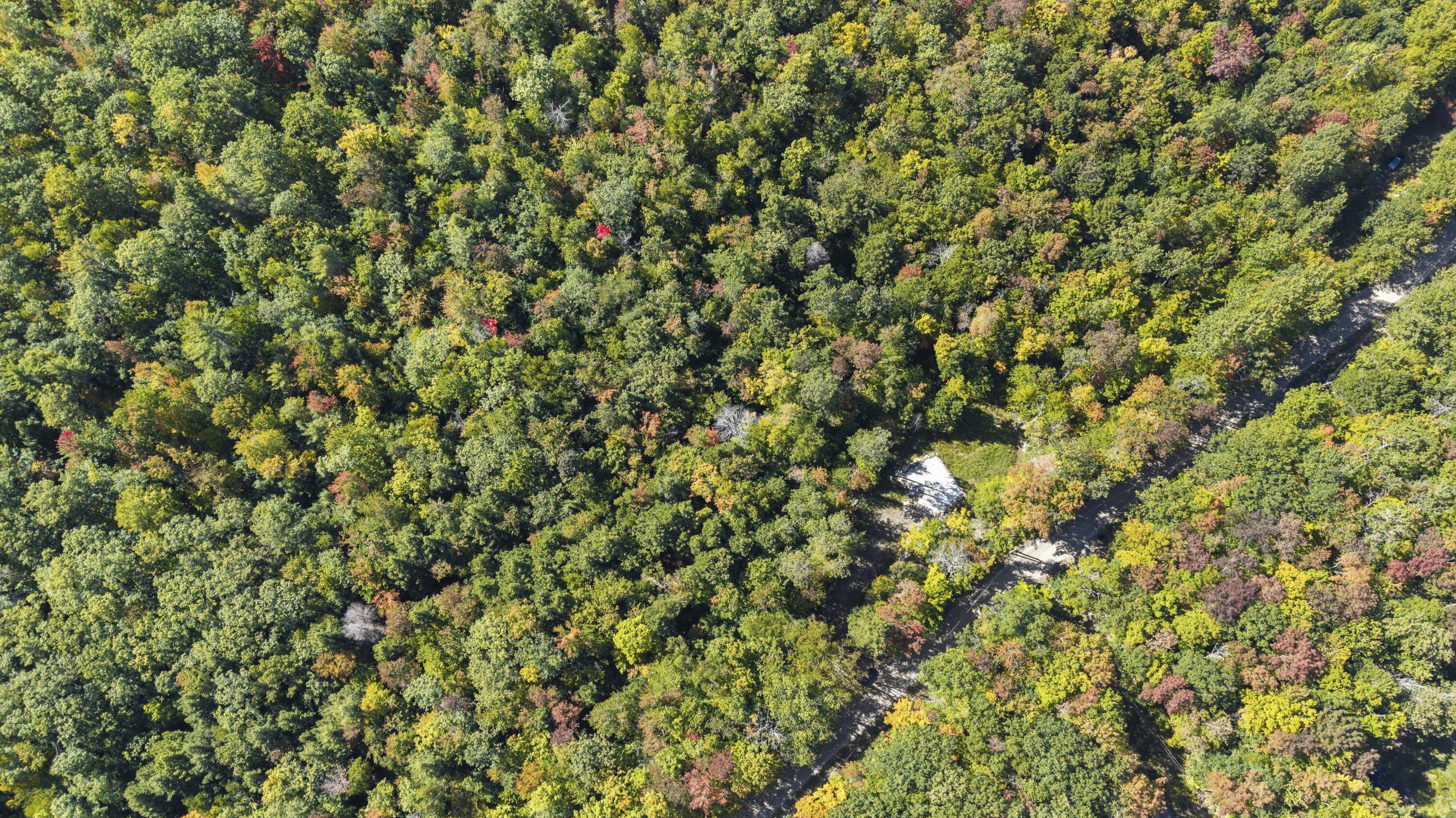 Map7-lot34 Kimball Pond Road Vienna, ME 04360 - Photo 10 of 16 DJI_20260924142213_0417_D