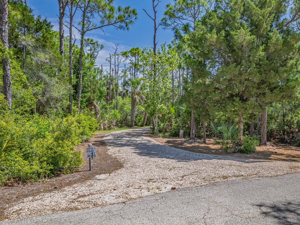 1915 Smugglers Cove Road St. George Island, FL 32328 - Photo 2 of 51