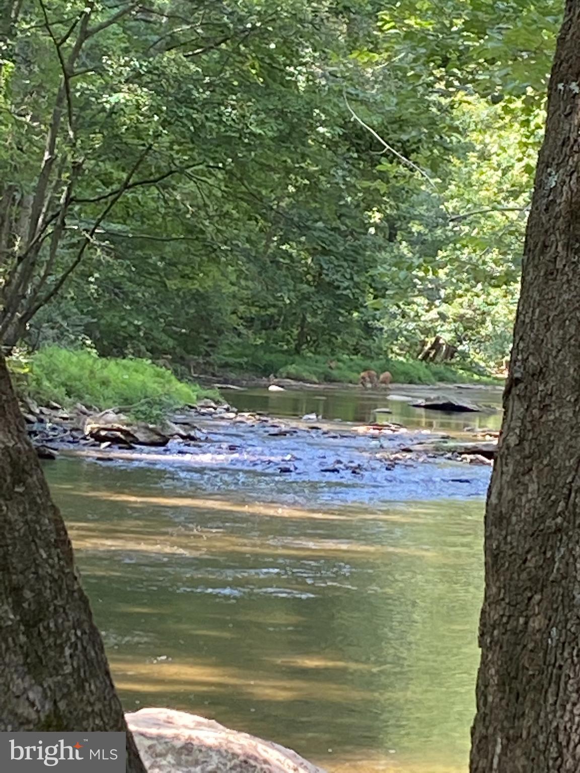 Wesley Road Finksburg, MD 21048 - Photo 3 of 12 View of the Potomac River