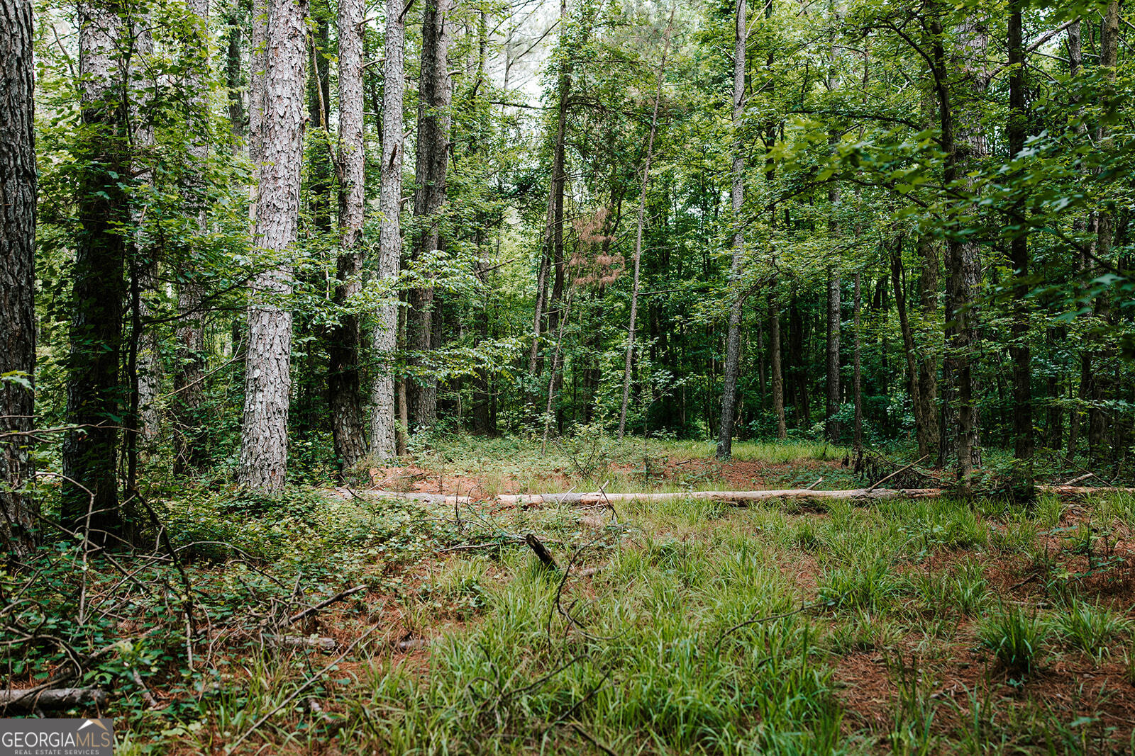 0 Stephens Salem Road Stephens, GA 30667 - Photo 9 of 43