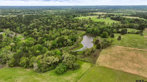 a view of a forest with a houses