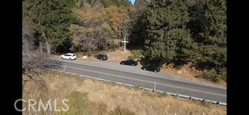 a view of a yard street