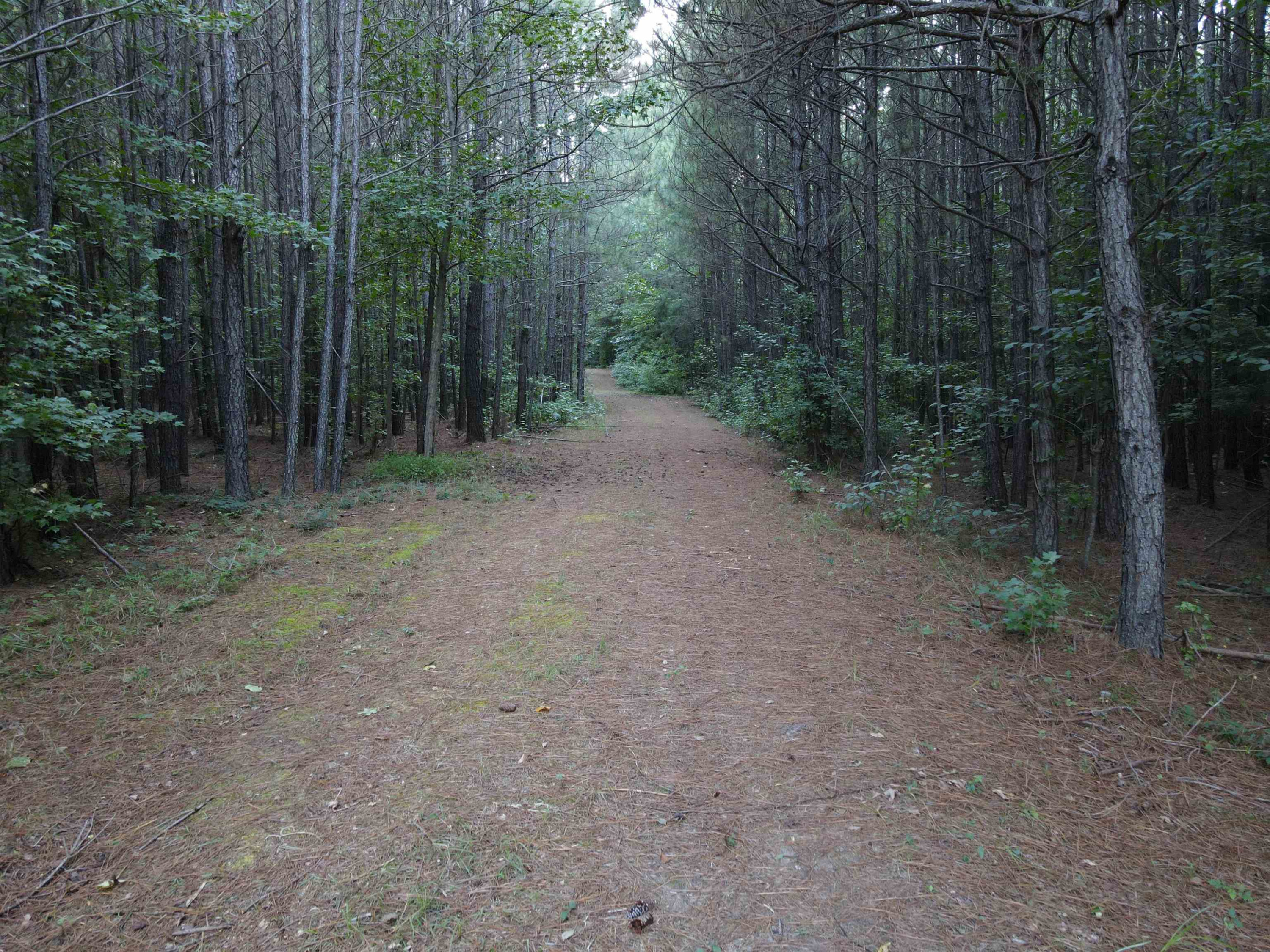 Creedmoor Road Wake Forest, NC 27587 - Photo 3 of 38 Photo 3