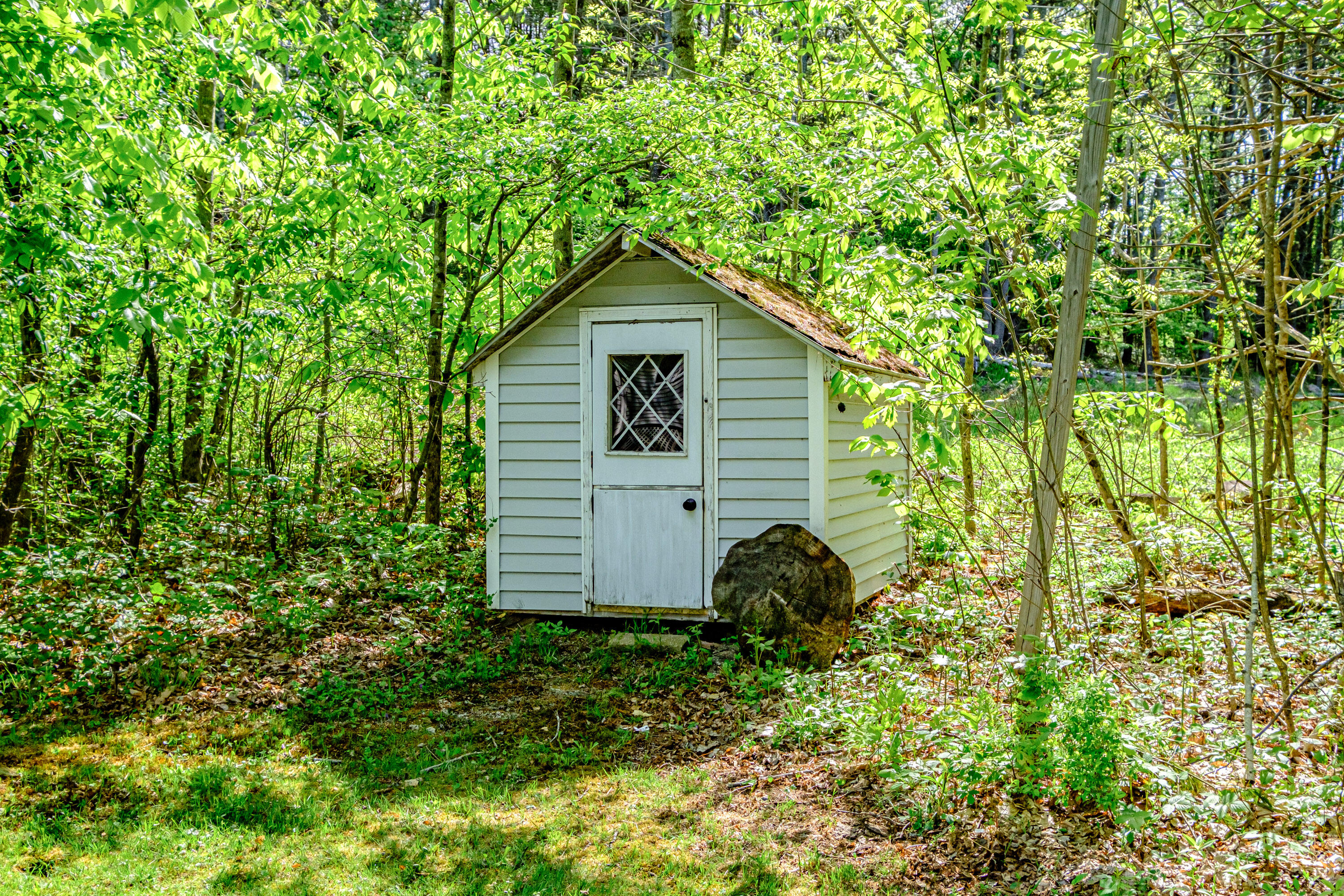 263 Paris Hill Road Paris, ME 04281 - Photo 46 of 82 20240521gp-60075
