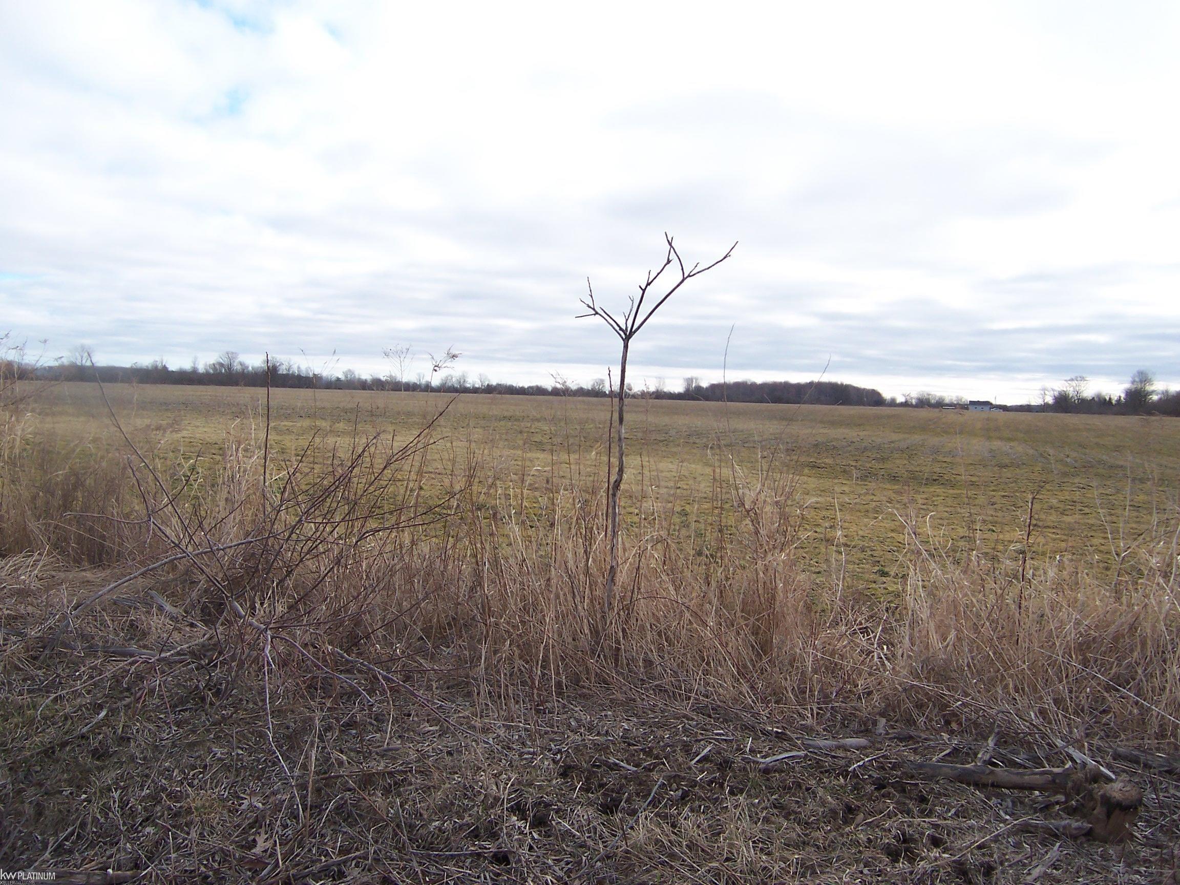 Lot E Stoddard Road Columbus, MI 48063 - Photo 1 of 2