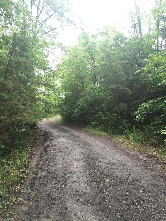 321 Burton Road Advance, NC 27006 - Photo 28 of 29 Private drive going into the property