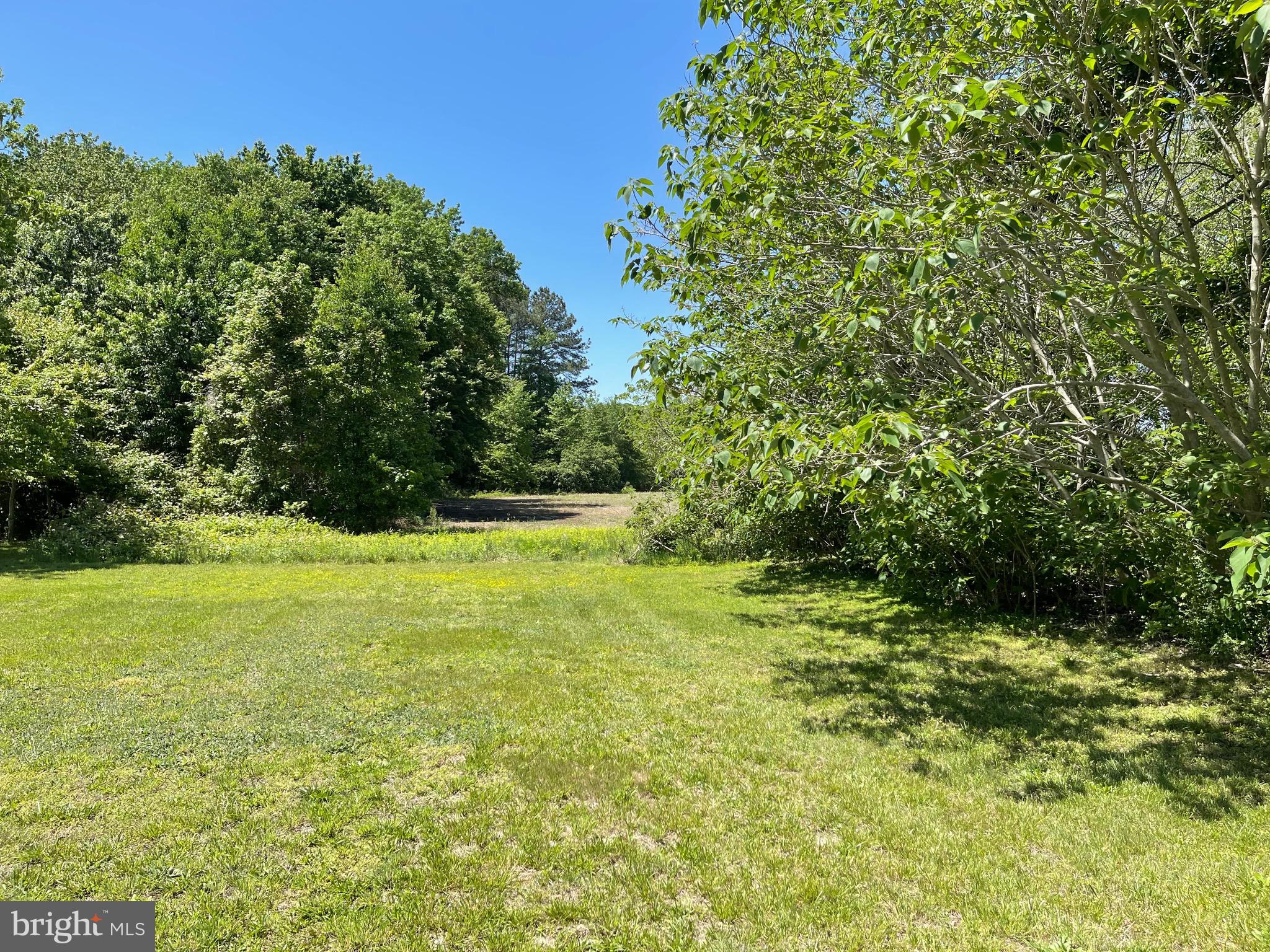 a view of yard with swimming pool and green space