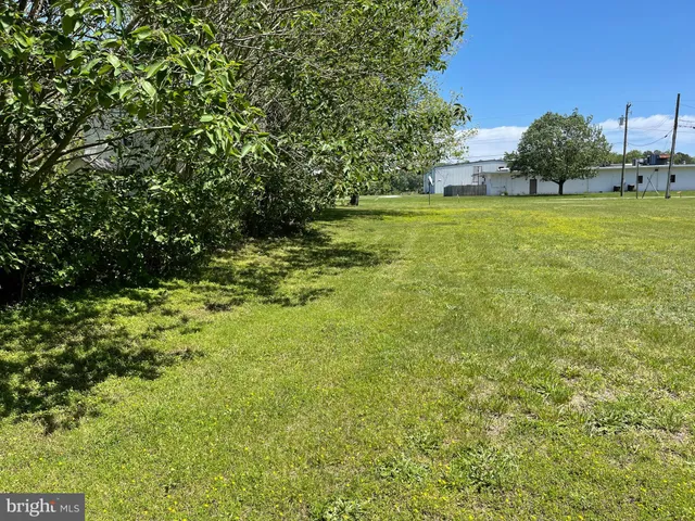 a view of a green yard with large trees