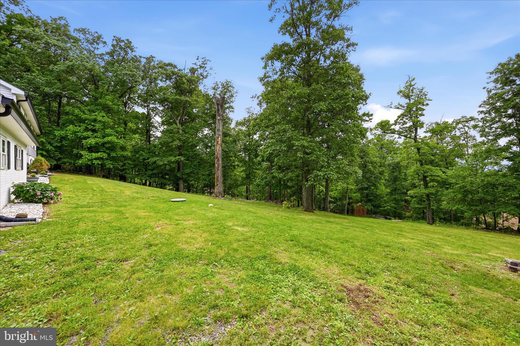 660 Salt Lick Road Front Royal, VA 22630 - Photo 4 of 78 Front Porch View