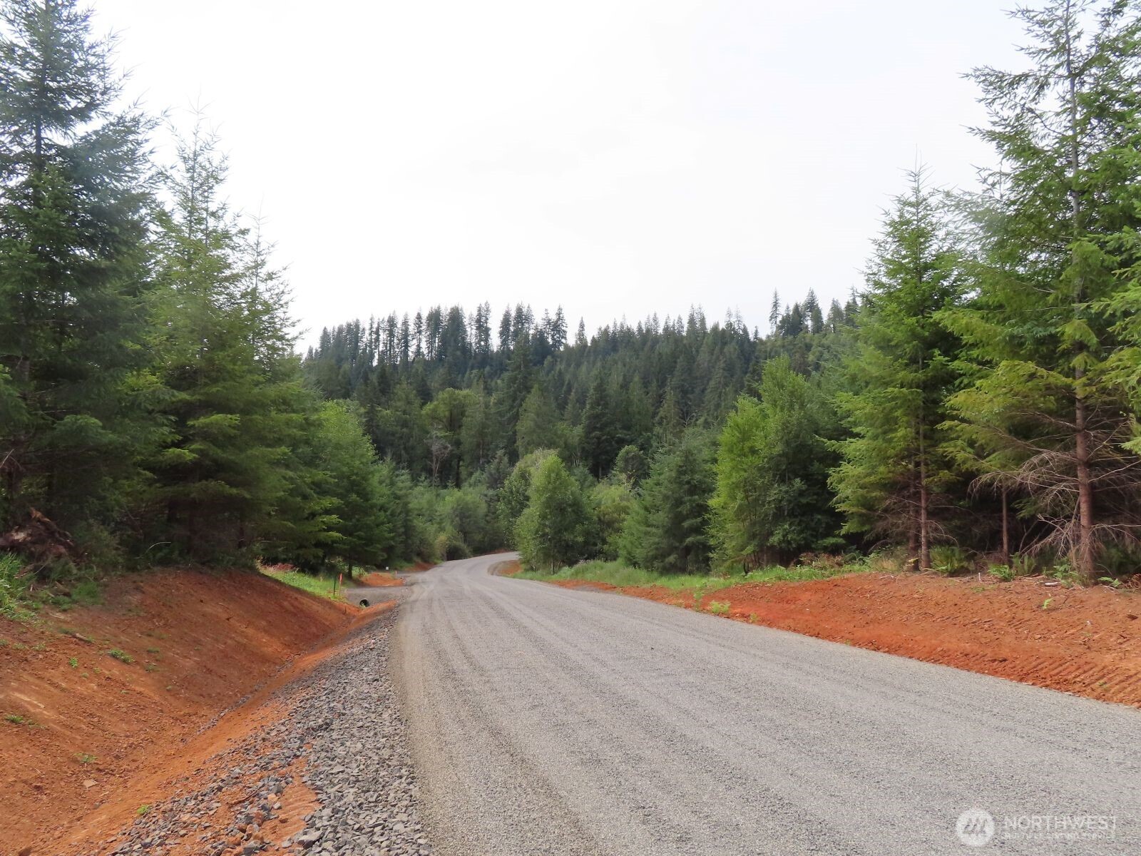 -lot B Mill Creek Road Longview, WA 98632 - Photo 19 of 27 a view of a rural road with plants and trees