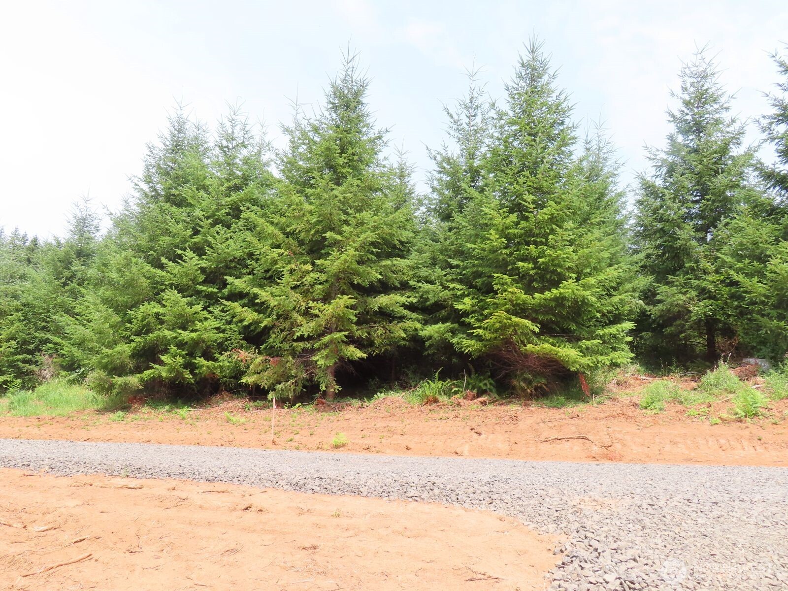 -lot B Mill Creek Road Longview, WA 98632 - Photo 21 of 27