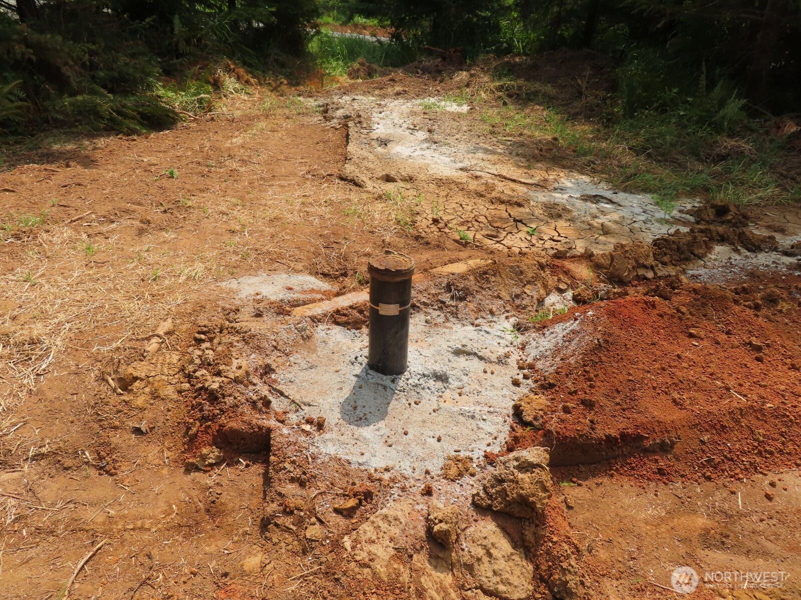 -lot B Mill Creek Road Longview, WA 98632 - Photo 25 of 27 a view of a yard with trees