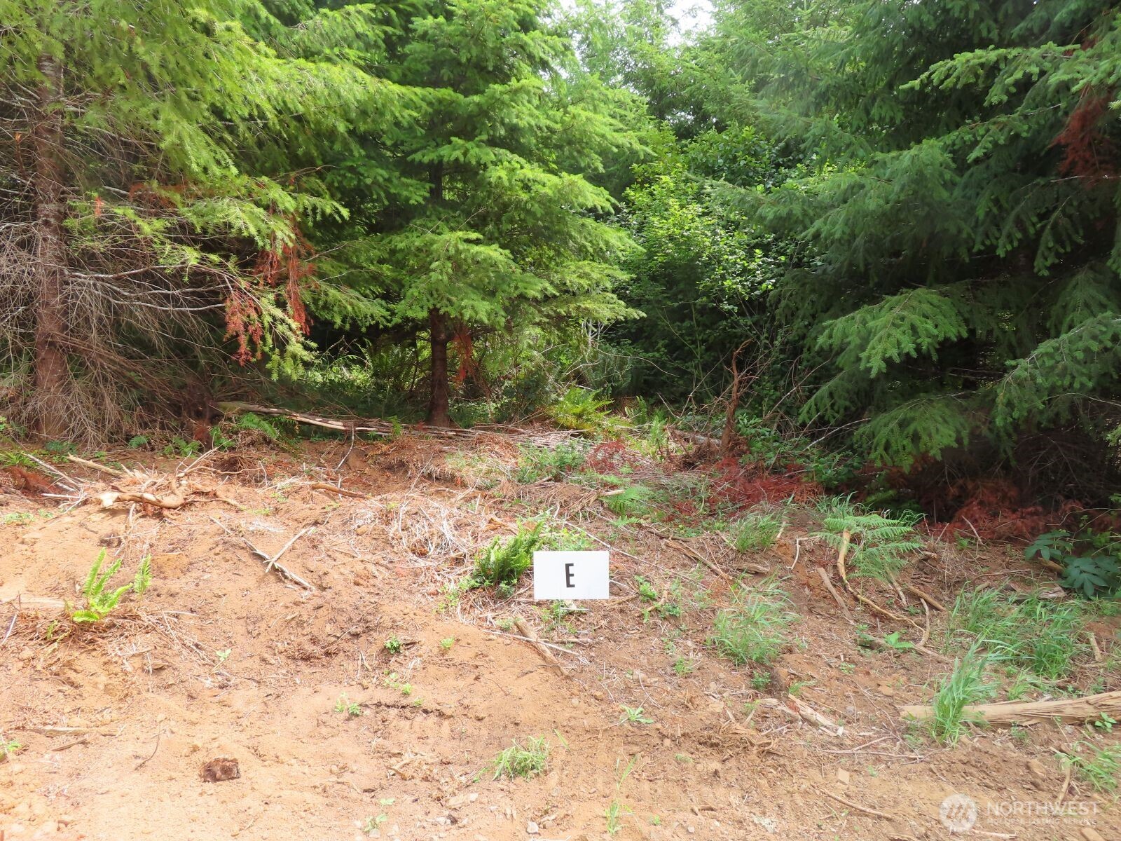 -lot B Mill Creek Road Longview, WA 98632 - Photo 27 of 27 a view of a pathway with a yard